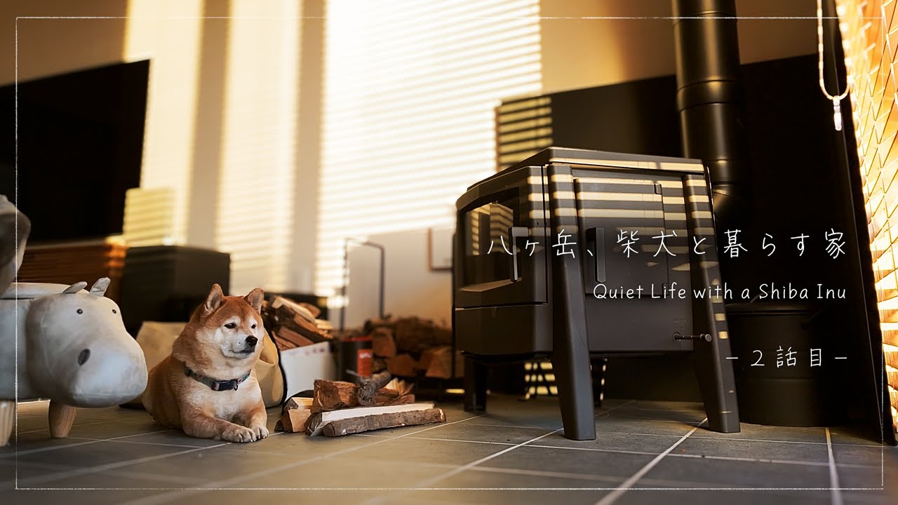 Quiet Life with a Shiba Inu in Rural Japan - YouTube