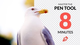 Master the Pen Tool in Under 8 Minutes (Photoshop)