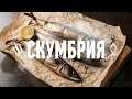 Рыба из смокера! Коптим скумбрию