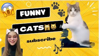 Funny \& Cute Cats🐾 😺#cats  #funnycatsvideos