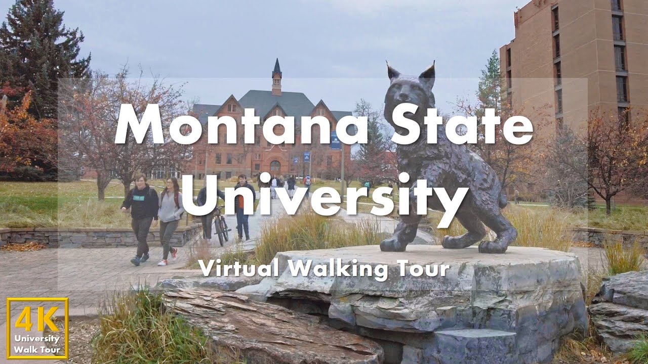 montana state university virtual tour