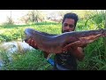 Fishing|Look how easy to catch monster fishes with live worms||Fisherman vs big catfishes
