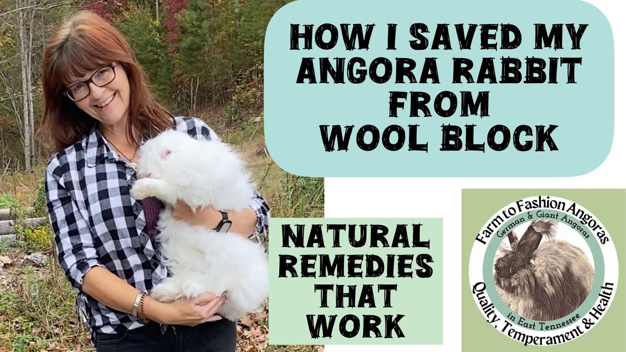 Angora Rabbit Care First Aid Items and Natural Rabbit Care remedies ...