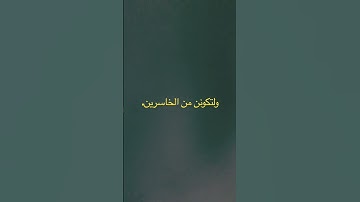 تلاوه/ نواف محمود بصفر. ماتيسر من سورة الزمر.