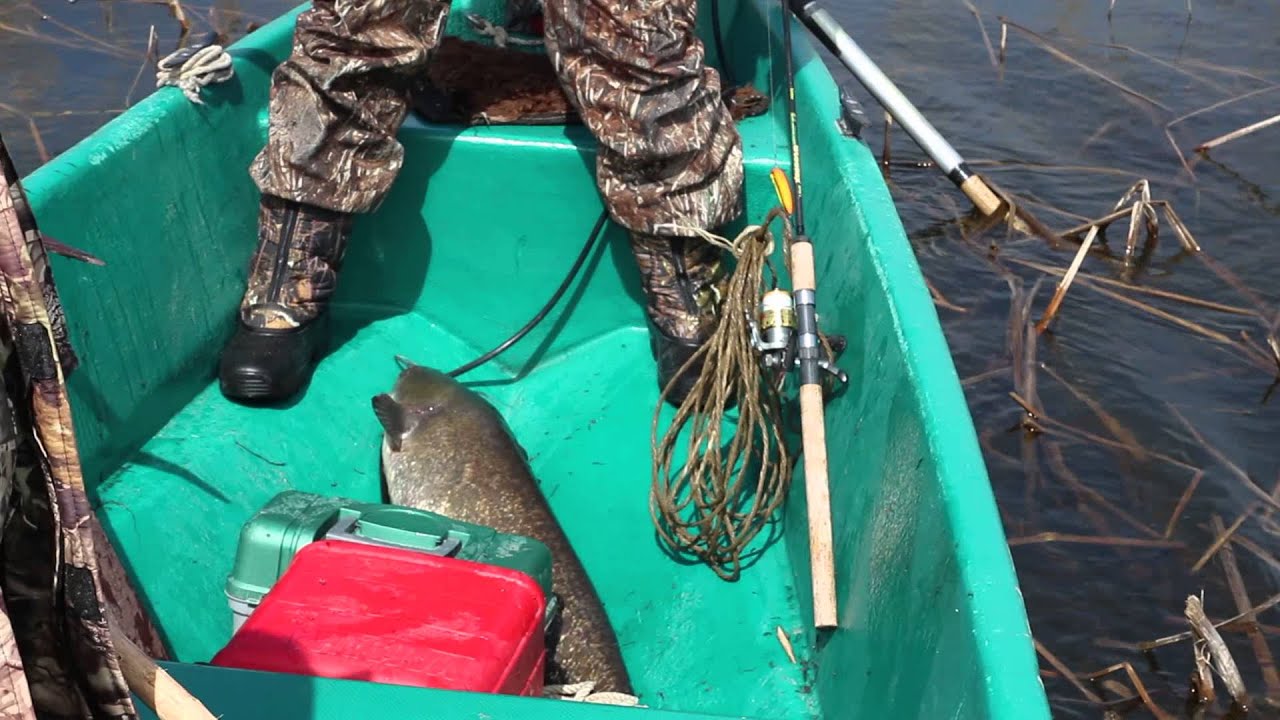 Астрахань. Раскаты.Спящий сом. - YouTube