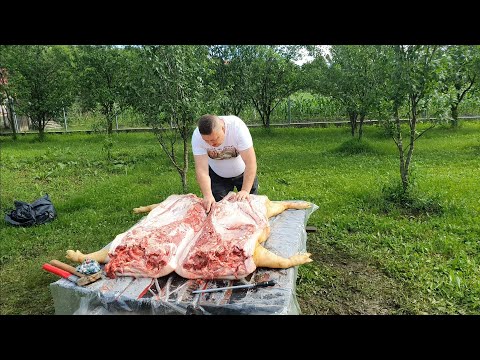 Vídeo: Com Cuinar Un Porc