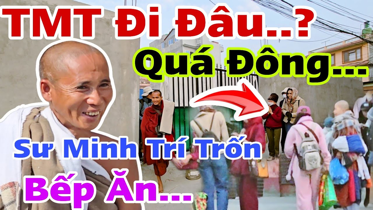 Quá Đông TMT Đi Đâu...? Sư Minh Trí Trốn Bếp Ăn... Visa 1 Năm Ở Nepal..?