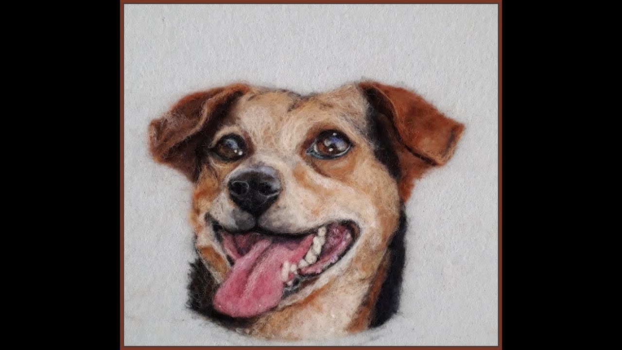 WOLSOORTEN voor het maken van dierenportretten door middel van naaldvilten.