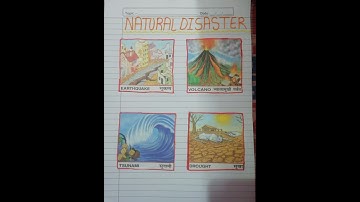 Class :9 Social Science Disaster Management Project