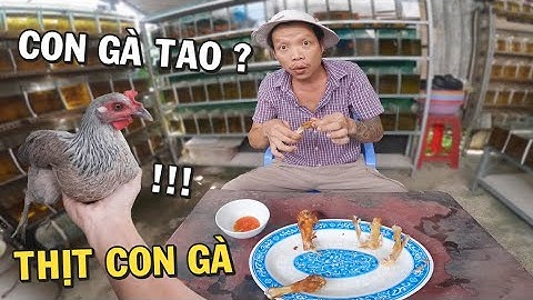 TROLL làm thịt Con Gà yêu dấu của Ông Chủ Trại Cá Betta hóng cái kết
