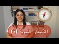 نظرة عامة على العهد القديم ٦ من هم الأنبياء 