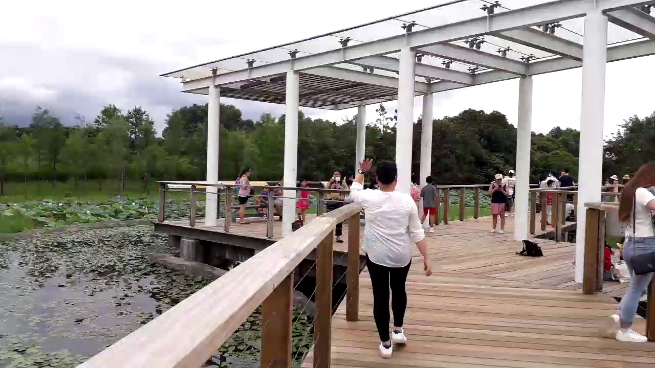 Adventure trip WETLAND PARK,HONGKONG YouTube