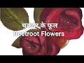    easy beetroot salad  beetroot rose right diet with priti