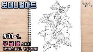 [Flower Draw/Botanical Art] #31-1. Rose of Sharon Sketch. (Drawing Lesson - Pencil Transcription)
