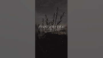 سورة الفتح، المنشاوي❤️surat 🎧Alfath, Almanshawi