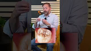 Your Teeth Are Designed To Heal Themselves