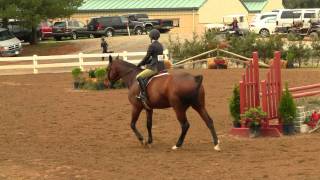 Alexandra Lieberman on Ivanhoe Test