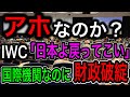 【IWC】日本が脱退したIWC国際捕鯨委員会が破綻寸前！分担金に関しての新事実発覚で日本にSOS！【日本の凄いニュース】