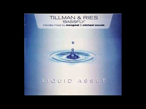 Peter Ries — Tillmann Uhrmacher & Peter Ries - Bassfly (Michael Woods Remix)