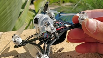 Eachine Twig and Baby Turtle Caddx