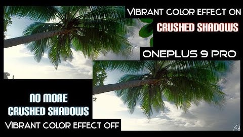 ░▒▓█ OnePlus 9 Pro | A Display Setting You Should Change █▓▒░