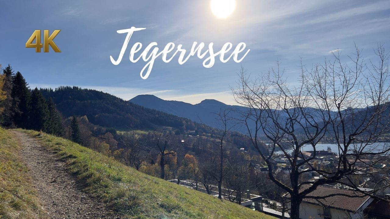 Autumn Morning Walk in Tegernsee Forest, Germany - 4K 60fps