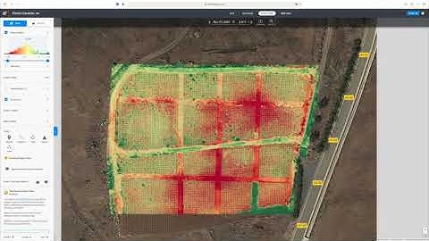 Análisis y conteo de plantas utilizando Drones / Agricultura de precisión