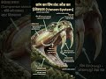 🐍Snake topic mechanism, death injection, how does a snake release its poison into the human body?