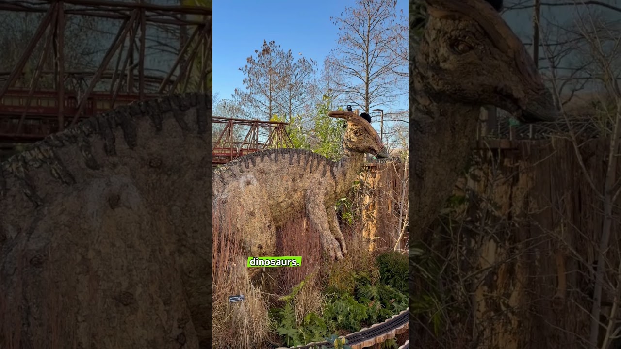 Dinosaurs, model trains, and DC landmarks made from plants await you at the US Botanic Garden!