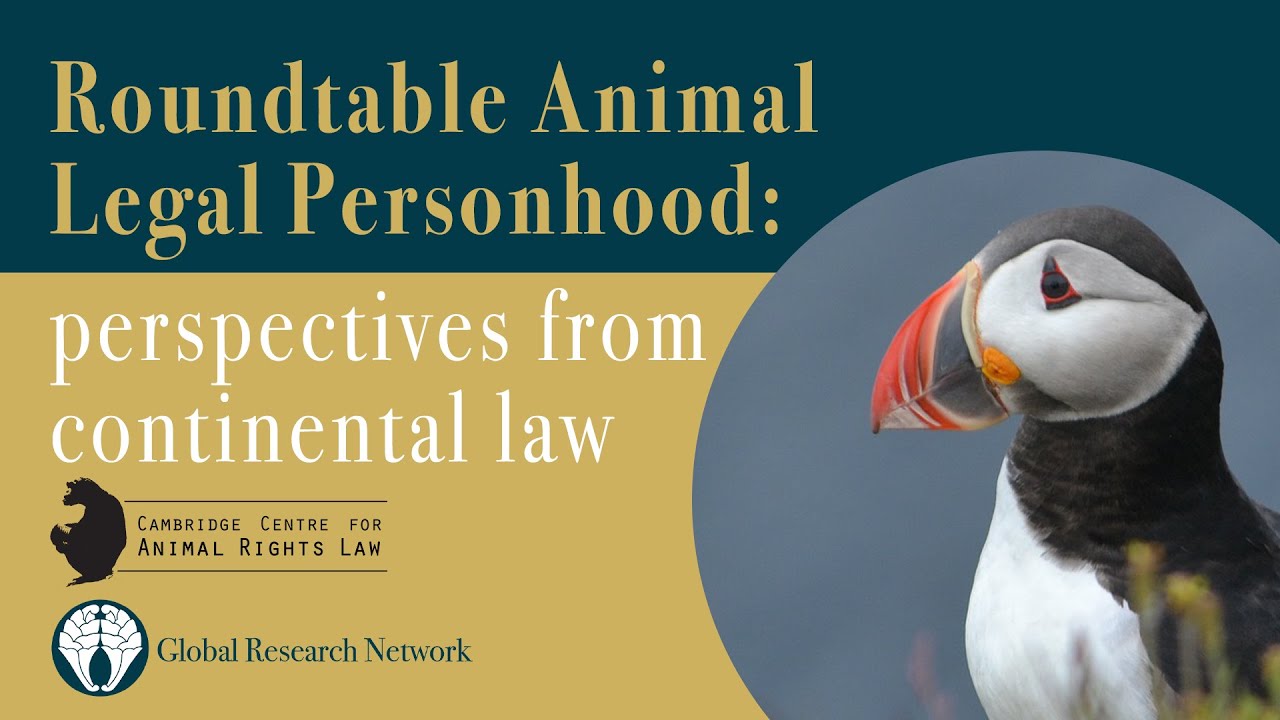 Roundtable Animal Legal Personhood: perspectives from continental law -  YouTube