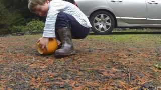 Famous Pumpkin Abuse Net Worth