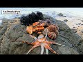 Surigao seafoods pugita tuyom at saang foodtrip  catch  cook