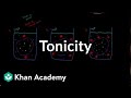 Tonicity  comparing 2 solutions  lab values and concentrations  heatlh  medicine  khan academy