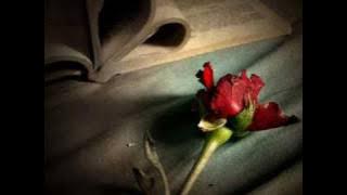 Download lagu Love Story - Panflute