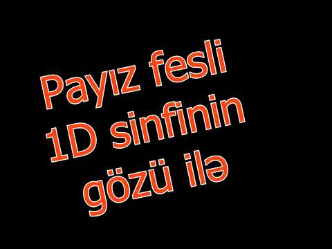 Payiz fesli 1D Sedaye Hemidova