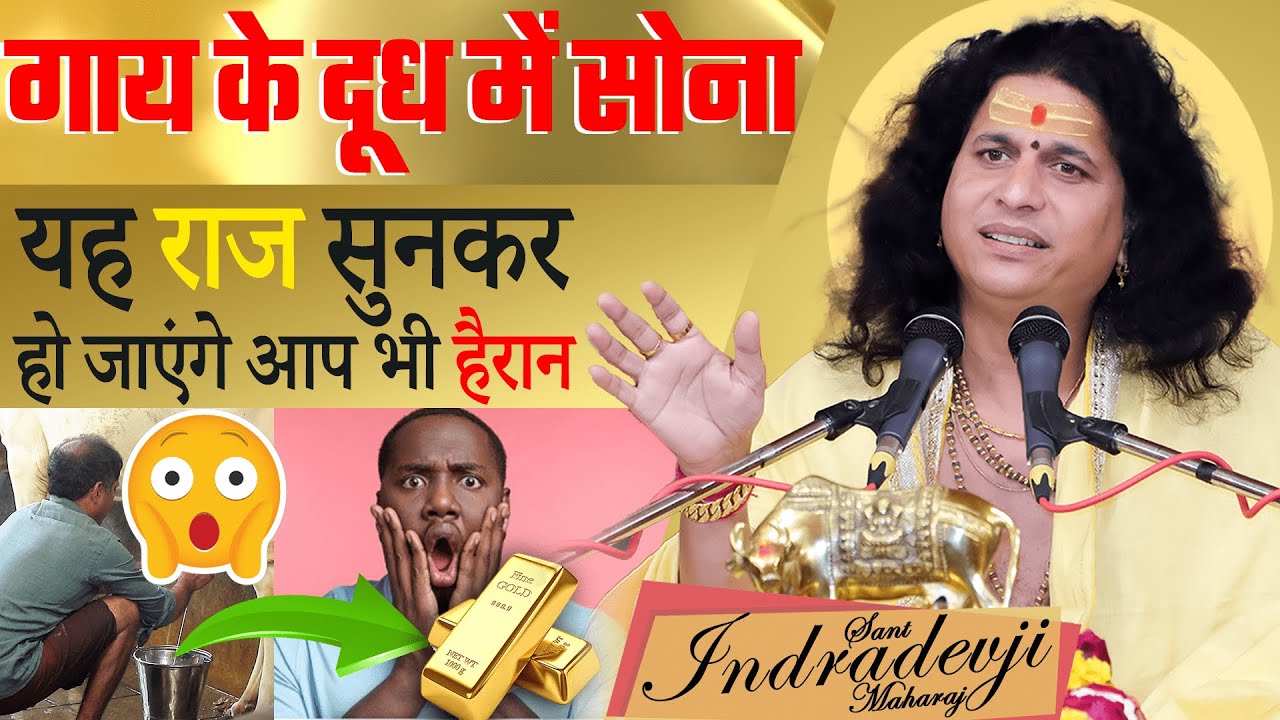 गाय के दूध में सोना... यह राज सुनकर हो जाएंगे आप भी हैरान | 😱 Gau Mata By @SantIndradevjiMaharaj
