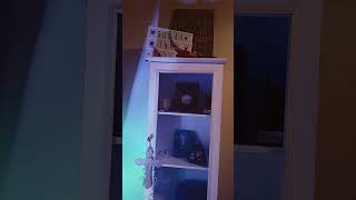 Mr Malone Scooter And Sprinkles Ewwss