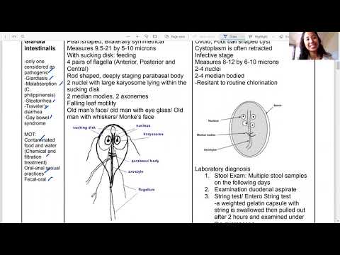 Mastigophora Flagellates Intestinal Genital Giardia Filipino