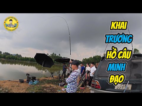 Giáo Án Câu Khai Trương Hồ Dịch Vụ Có Cả Rô Và Chép Hiệu Quả?