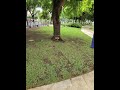 VOCÊ JÁ PAROU PARA VALORIZAR O TRABALHO DE QUEM CUIDA DA LIMPEZA DESSE LOCAL
