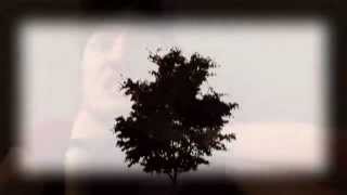 Thomas Smith's Reel