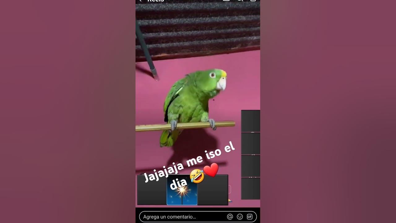 Y como se llama usted Felipe🤣❤
