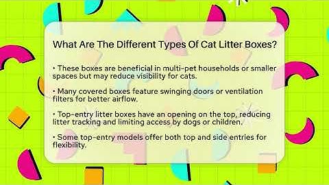 What Are The Different Types Of Cat Litter Boxes? - Happy Cat Handbook
