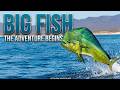 Fish After Fish… Trophy After Trophy 30 Seconds Straight