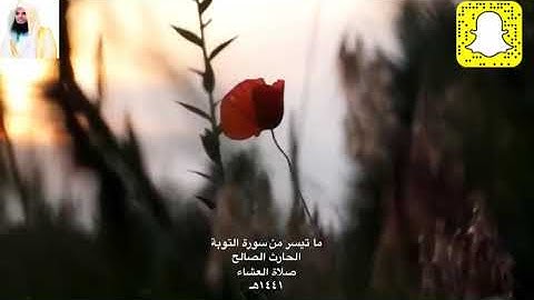 وما أمروا إلا ليعبدوا إلاها واحدا .. تلاوة جميلة جدا ومؤثرة للقارئ الحارث الصالح وفقه الله ١٤٤١هـ