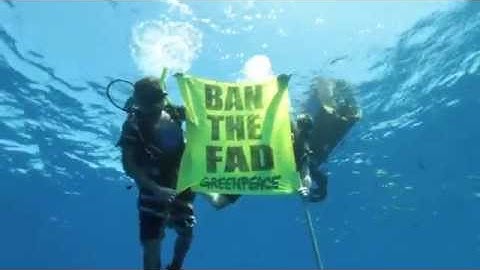 Fish Aggregating Devices : What they are and why they need banning