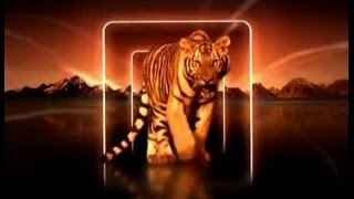 Пепел Феникса серия № 12 Пепел Феникса серия № 12
