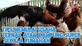 Apakah dalam 2bulan ayam kampung bisa panen??. 