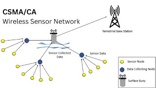 1.3e CSMA/CA | Random Assignment Protocols | Wireless Sensor Network
