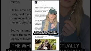 Sarah Matthews: "Our government is currently being run by a bunch of terminally online dweebs"